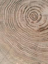 Wuxi Re-Home New Materials Co., Ltd.